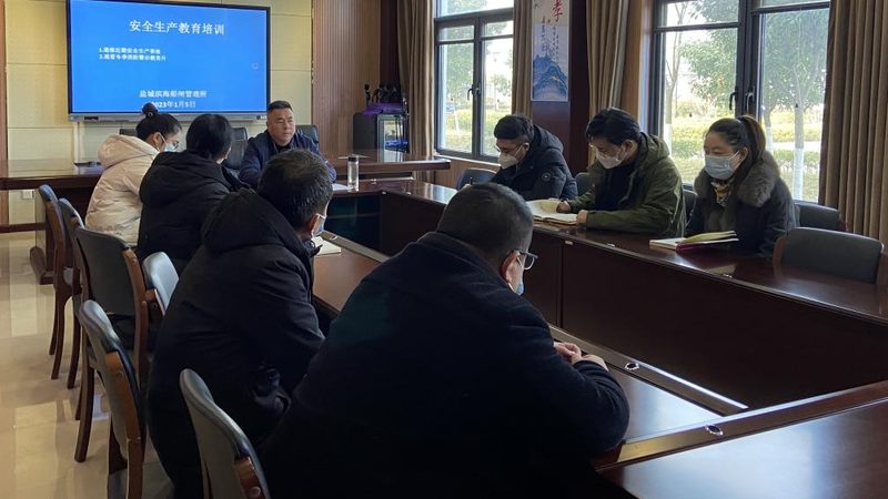 Scratch与少儿编程：探秘两者间的微妙差异